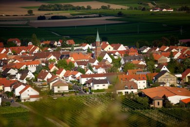 Ansicht auf Sausenheim Ansicht auf Sausenheim