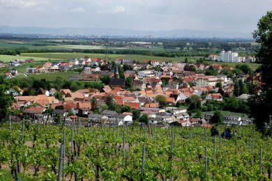 Ansicht auf Asselheim Ansicht auf Asselheim