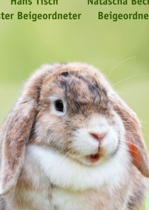 Osteranzeige_2026 Din A4 final_x - 1