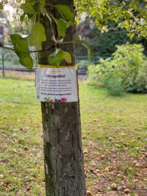 Baum mit Informationszettel