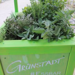 Hochbeet mit Schriftzug Grünstadt essbar