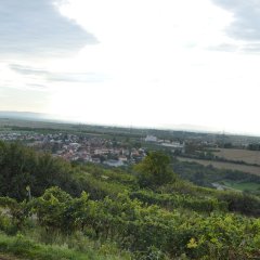 Ausblick auf Asselheim