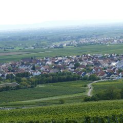 Ausblick in Sausenheim