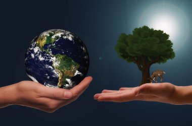 Symbolfoto Klima, 2 Hände halten die Welt und einen Baum